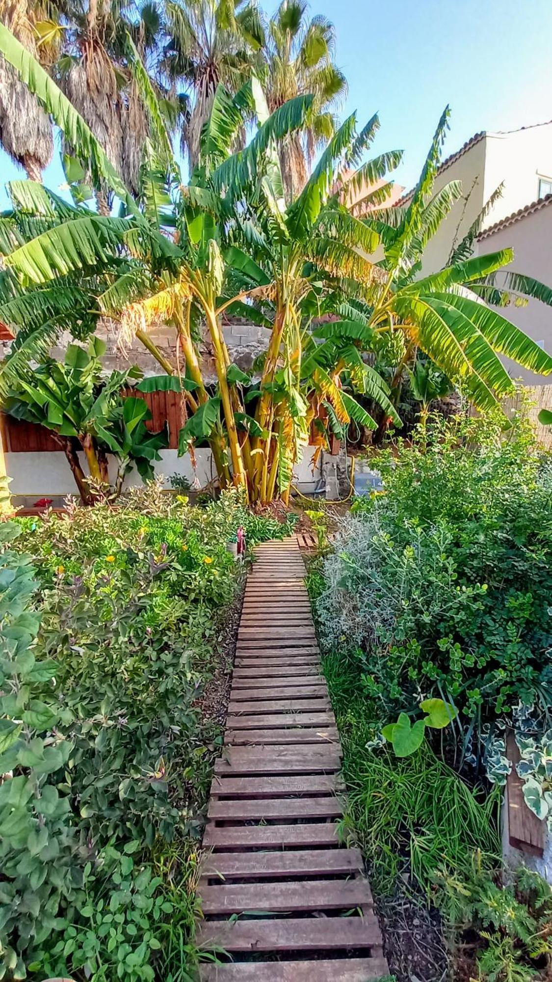 Finca Don Pedro Santa Cruz de Tenerife Exteriör bild